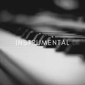 Instrumental مركز