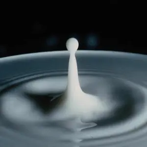 milkdrop مركز