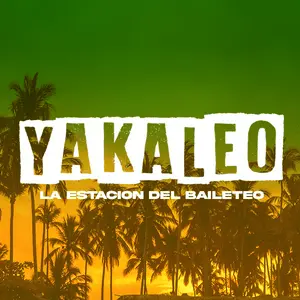 Yakaleo نبض